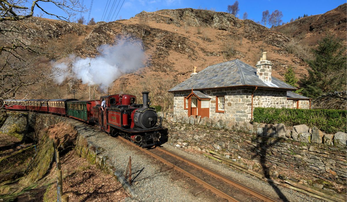 Coed y Bleiddiau 1200x700.jpg