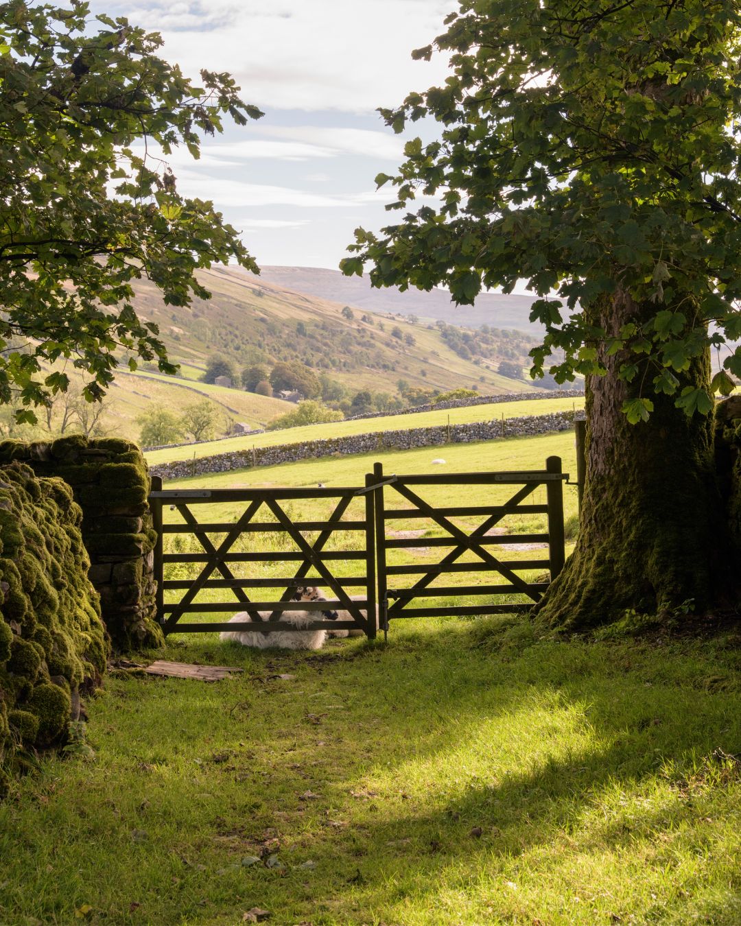 View through a gate to rolling hills beyond