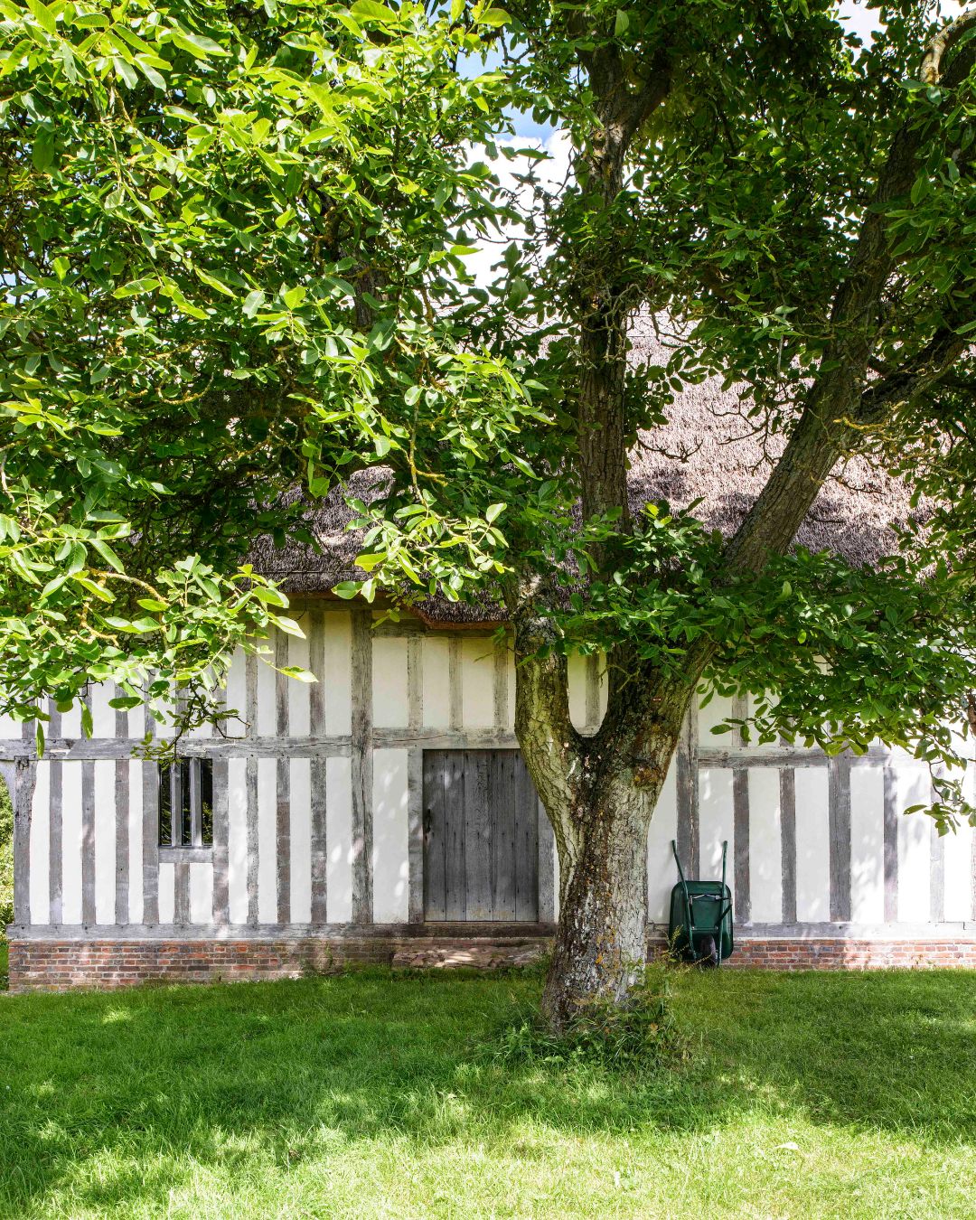 A timber framed house behind a sturdy tree