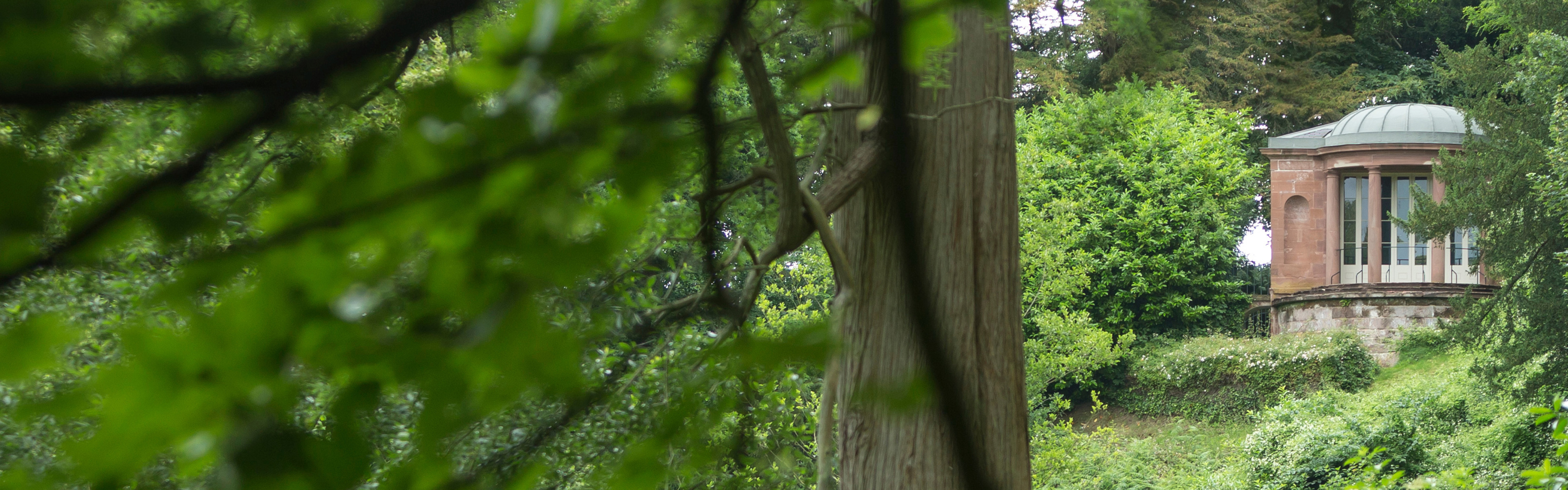 Tudor timber building stands next to a row of trees overlooking rolling countryside