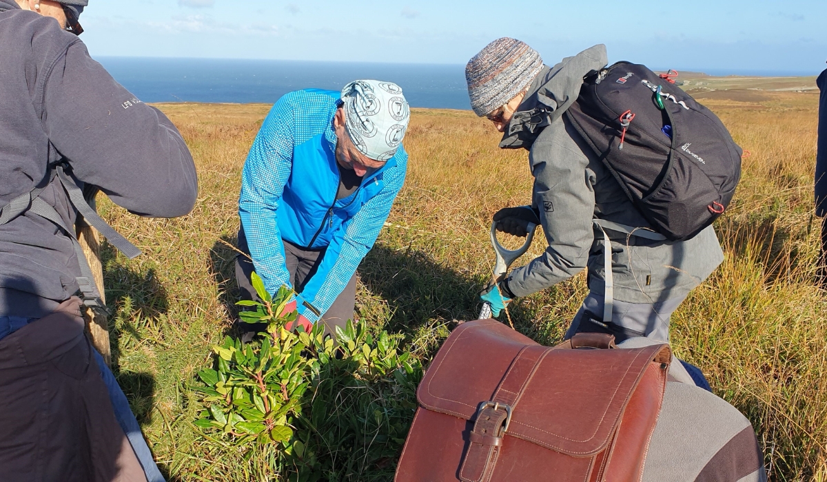 Lundy Field society work party.jpg