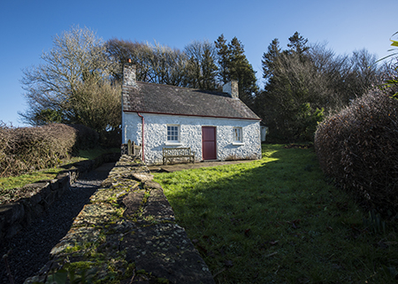 Dogs discount trust cottages